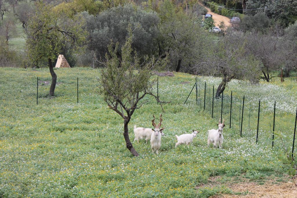 Apartmán Casa Vistosa Agrigento Exteriér fotografie